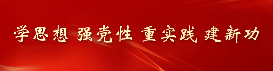 “义警”—— 一支活跃在街巷居民区的治安防范力量